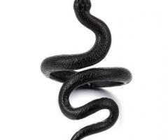Anillo serpiente hombre, los anillos de la serpiente